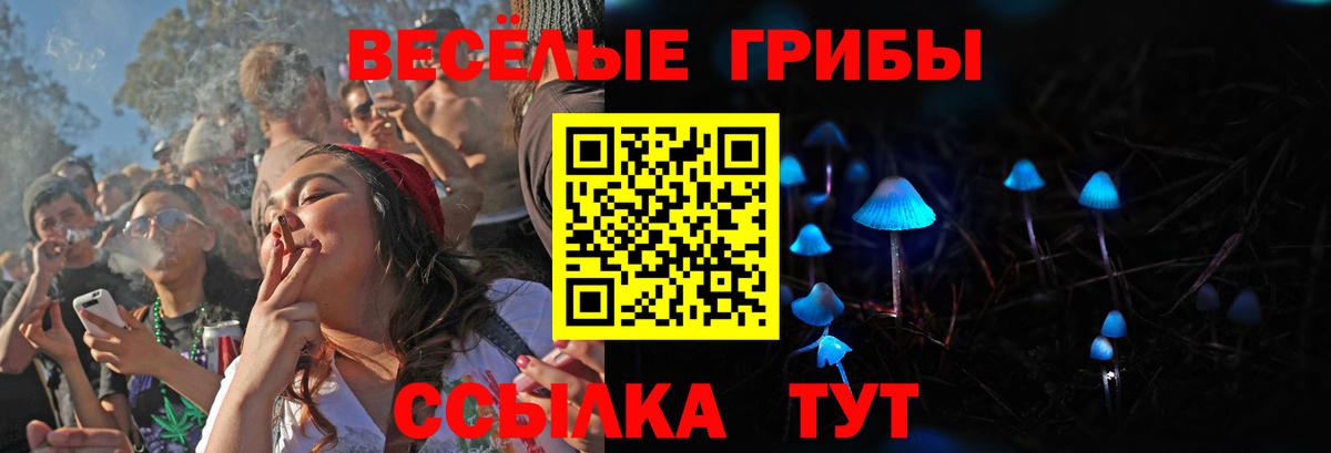 Красный Сулин  Галлюциногенные грибы мухоморы  Вход с VPN 